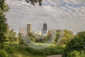 Tall Building in Chicago reflecting in Park Pond.