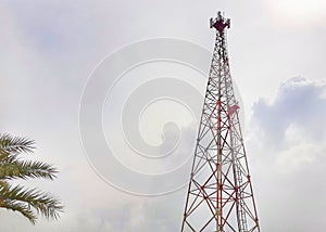 Tall cell phone tower with coconut tree leaves