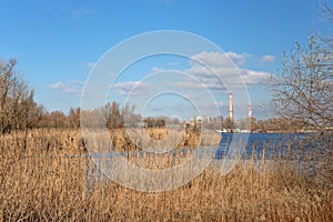 Tall chimney in the swampland