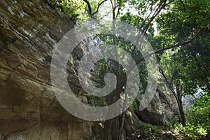 Tall cliff in jungle in Chiapas, Mexico