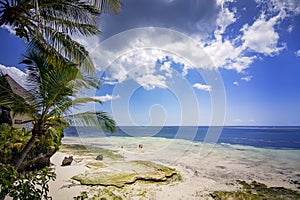 tall coconut trees on the background of a beautiful beach. The Indian Ocean. Beautiful tropical coast of mombasa in