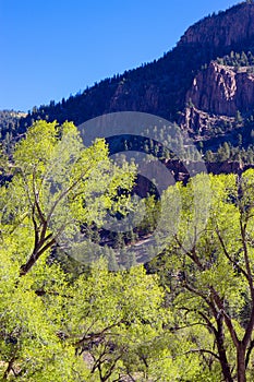 The road to Creede, Colorado, runs along the Rio Grande through the San Juan Mountains photo