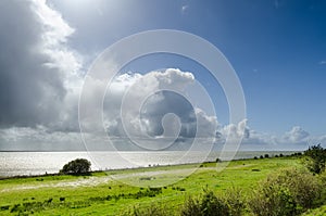 Tall cumulus clouds along the coast of lake IJsselmeer