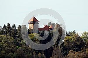 Tall dense forest trees hiding and protecting old medieval town castle with newly renovated roof on top of small hill