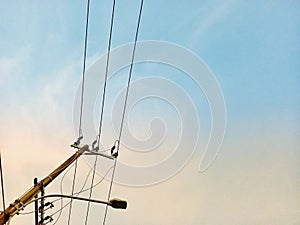 Tall electric poles with street lamp