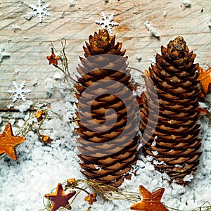 Tall elegant Christmas pine cones