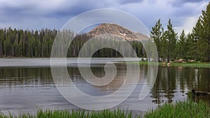 Tall evergreen trees by scenic Crystal lake in Uinta Wasatch national forest
