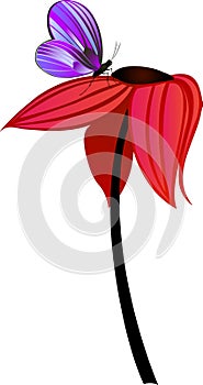 Tall flower with butterfly