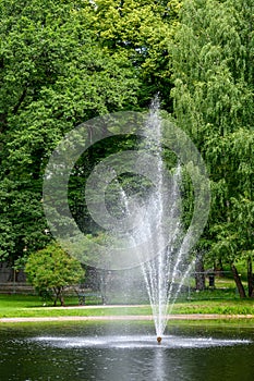 Tall fountain in the middle of a pond in a green park, as a nature background