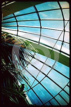 A tall glass atrium dome that shelters tropical plants.