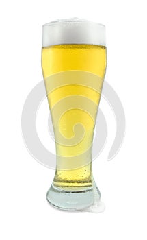 Tall Glass of Beer on White