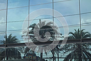 Tall glass building reflecting the palm trees used to decorate the garden and the blue sky in the early morning is beautiful on a