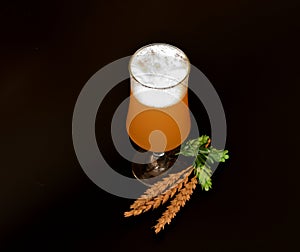 A tall glass of light wheat beer with high white foam, ears and ripe hops on a black background