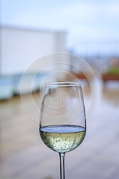 Tall glass of sparkling white wine. photo