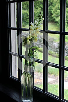 Tall glass vase filled with wild flowers set on windowsill of home