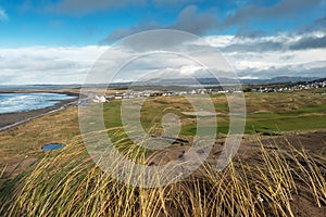 Tall grass in focus, Strandhill town out of focus, Sligo, Ireland. Blue cloudy sky