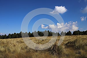 Tall grass praire mountain blue sky photo