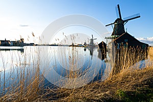 Tall grass and Windmills by a lake in Spring