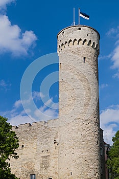 Tall Hermann - Toompea castle tower in Tallinn
