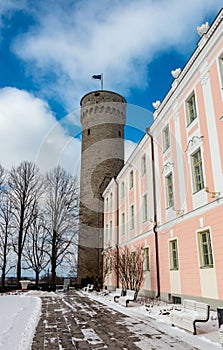 Tall Hermann tower or Pikk Hermann in Tallinn