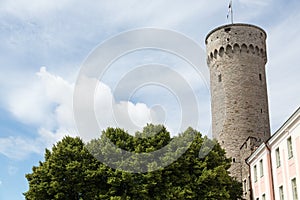 Tall Hermann Tower in Tallinn