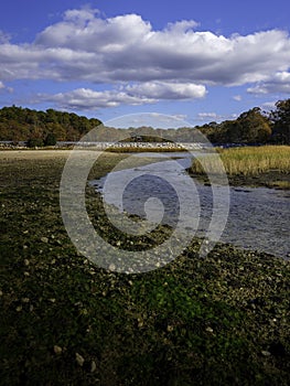 Tall landscape with dramatic clouds in the blue sky over the swirling river stream in the marshland