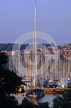 Tall masted yachts in marina