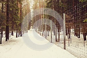 Tall metal fence with smaller holes in the winter forest. Fencing a private area from intruders. Fencing the site with a