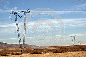 Tall Metal Supports and Powerlines in Dry Countryside