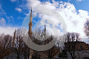 Tall minarets against colorful vibrant sky. Winter landscape view of Sultan Ahmed Mosque. Trees without leaves in the foreground.