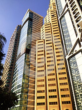 Tall modern office buildings glass exterior