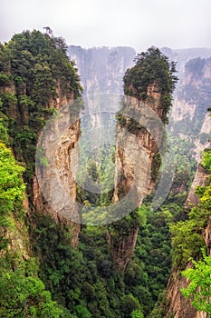 Tall mountain peaks of yuanjiajie photo