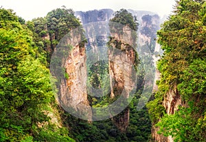 Tall mountain peaks of yuanjiajie