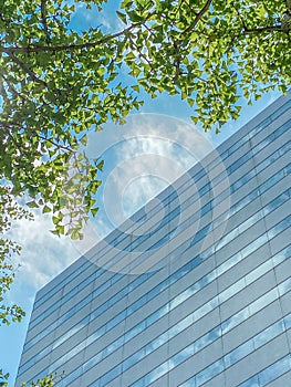 Tall office building in blue sky background