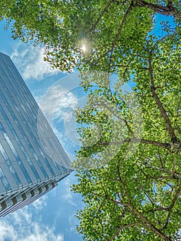 Tall office building in blue sky background