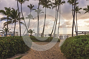 Tall palm trees and beach cabanas under dramatic cloudy sky by Atlantic Ocean at sunset light. photo