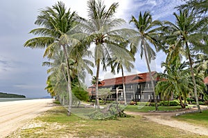 Tall palm trees and sun loungers on tropical Chenang beach on Langkawi island