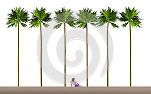 Tall palm trees and a sunbather on a white sand beach set the scene for a vacation destination photo