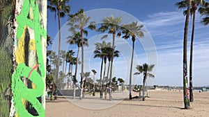 Tall Palms Mark Site Of Art Installation Venice Beach 4k 30 fps