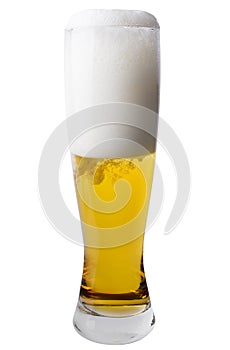 Tall Pilsner Glass of Beer photo