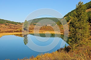 A tall pine tree is reflected in the calm waters of a beautiful lake with bushes along the banks and surrounded by hills in early