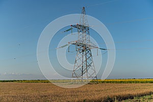 A tall power tower stands in a field of yellow flowers. The sky is clear and blue, and the tower is surrounded by a few