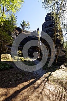 Tall rock formations with tree