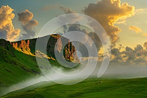 Tall rocky mountains among green meadows and yellow wild flowers and two horses, Icelandic countryside at dawn