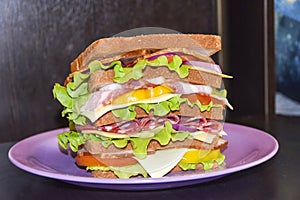 Tall sandwich with beef cheese pork tomato black background