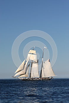 Tall Ship