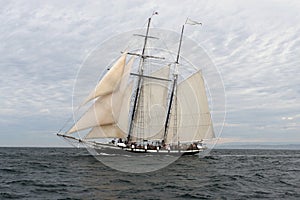 Tall Ship -8124