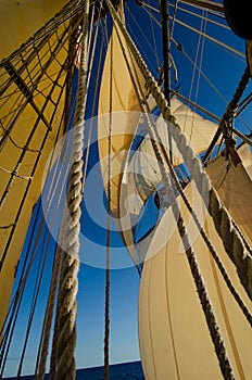 Tall ship mast and sails