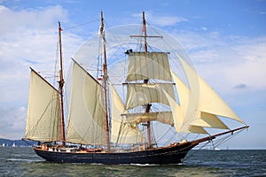 Tall ship races 2009