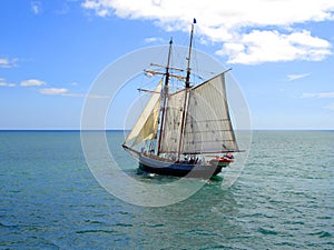 Tall Ship sailing in New Zealand